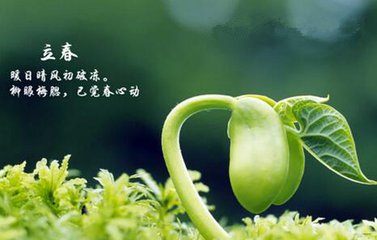 ff3cb71ec51b43aea71d7fbe5d0059fc.jpg
